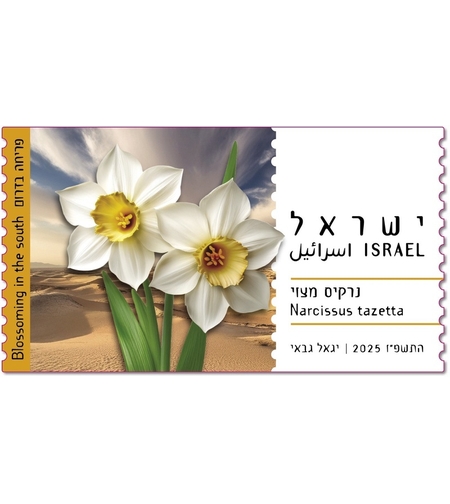 סט תויות - פריחה בדרום, נרקיס מצוי