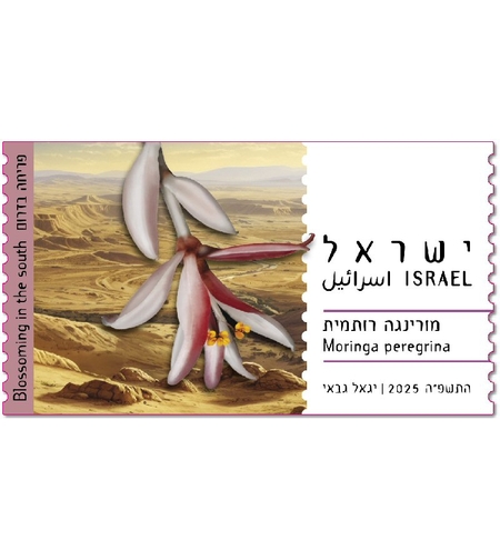 סט תויות - פריחה בדרום, מורינגה רותימת