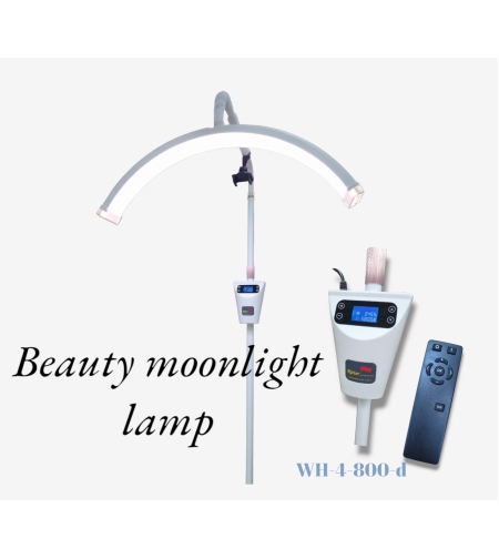 beauty moonlight lamp