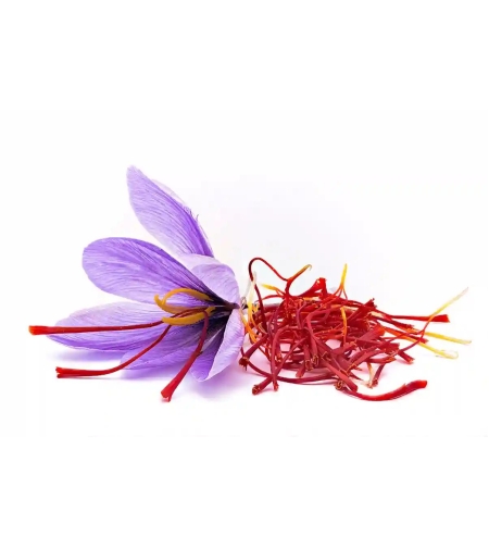 חברה חדשנית ופורצת דרך בתחום האגרו-טק יוצאת לסבב גיוס הון ומגייסת 10 מלש״ח ממשקיעים