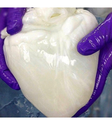 חברה פורצת דרך בתחום הביו - טק