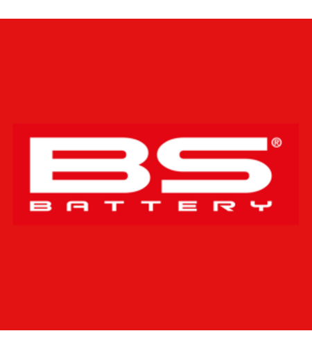 BS BATTERY