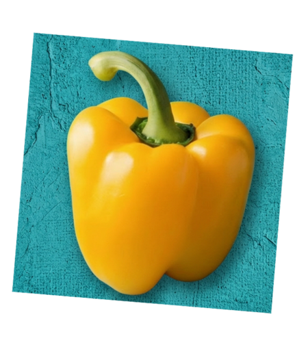 פלפל צהוב