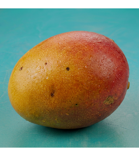מנגו