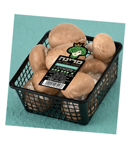 פטריות פורטובלו