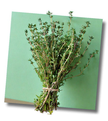 טימין (קורנית)