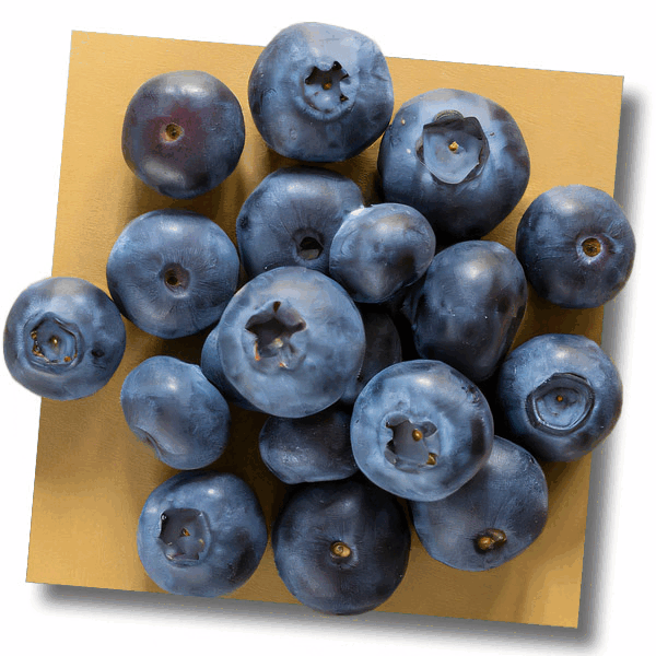 אוכמניות - מארז 125 ג'