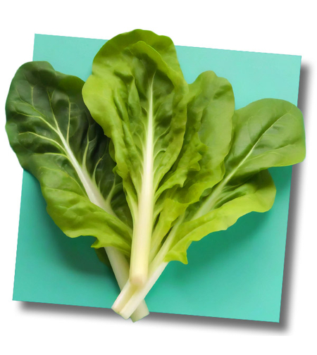 עלי סלק (מנגולד)