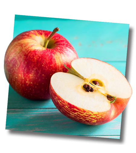 תפוח עץ גאלה