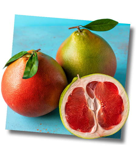 פומלית אדומה