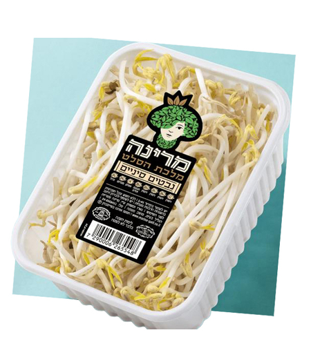 נבטים סיניים