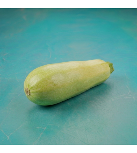 קישואים