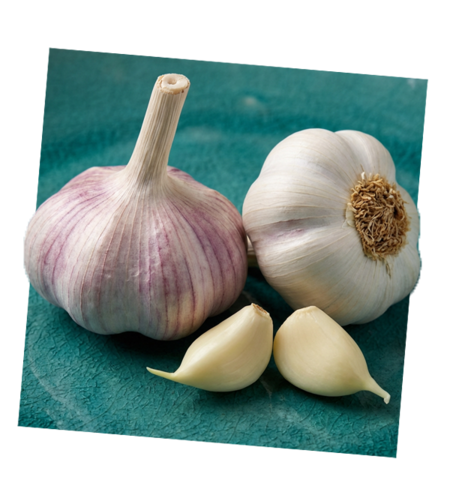 מארז שום ישראלי