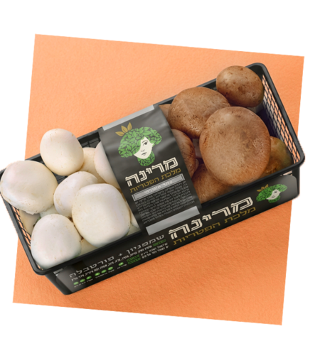 מארז פטריות פורטבלה ושמפיניון