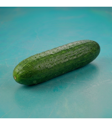 מלפפון