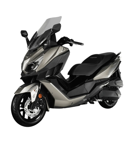 CRUISYM 300