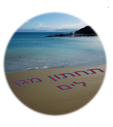 חיתול תחתון מגן רב פעמי לבריכה - מידה L