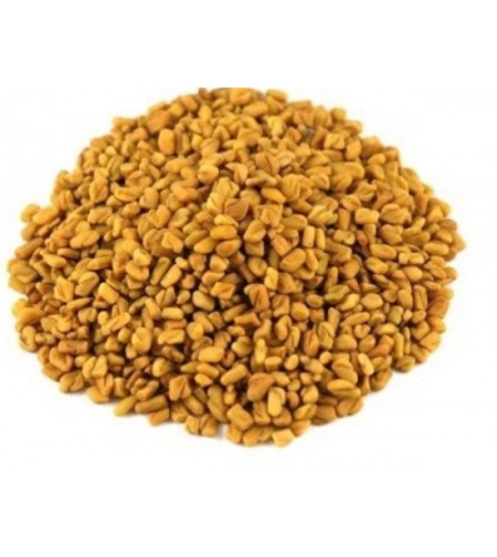 حلبة