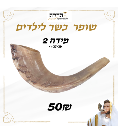 שופר כשר לילדים מידה 2