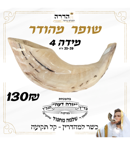 שופר מהודר קל תקיעה מידה 4 הרב מחפוד