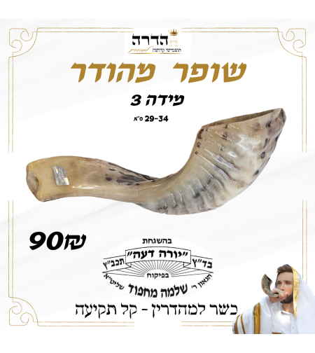 שופר מהודר מידה 3 הרב מחפוד