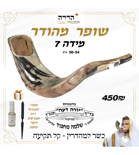 שופר מהודר קל תקיעה מידה 7 הרב מחפוד