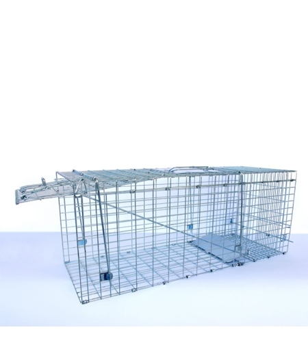 מלכודת חתולים מתקפלת | GREEN PLACE