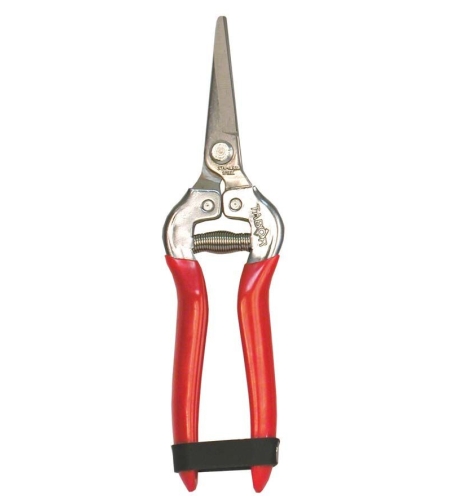 TABOR K17 | מקטפת פירות