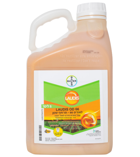 לאודיס | קוטל עשבים | 5 ליטר