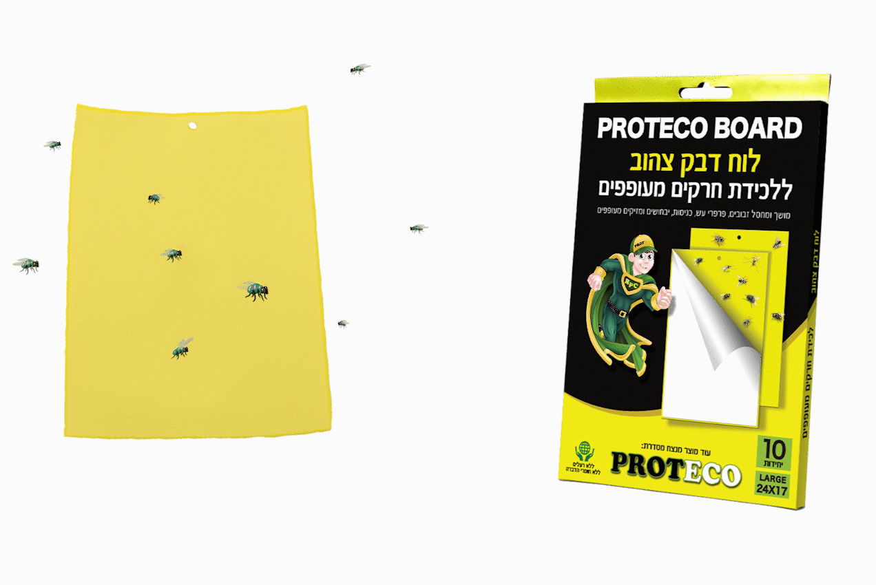 הלוח הצהוב | ללכידת חרקים מעופפים | LARGE