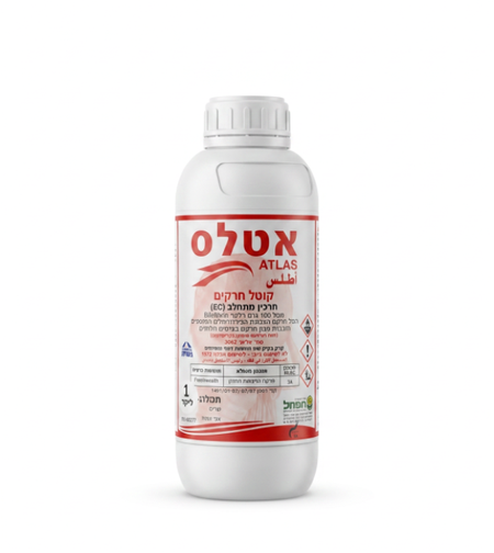 אטלס  | קוטל חרקים | 1 / 5 ליטר