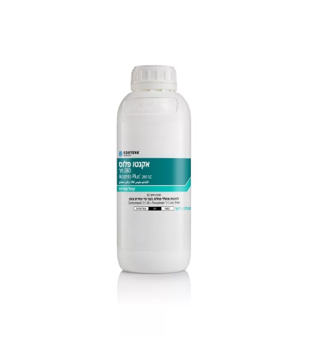 אקנטו פלוס | קוטל פטריות להדברת קימחון וחילדון | 1 ליטר