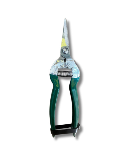 מקטפת פירות איכותית