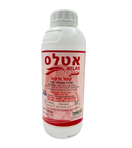 אטלס  | קוטל חרקים | 1 ליטר