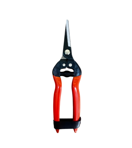 מקטפת פירות איכותית