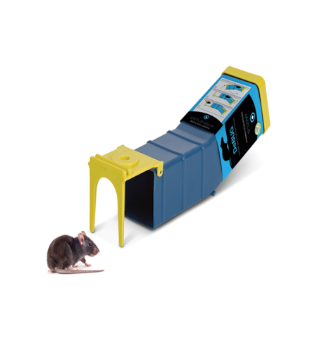 DEBUG | מלכודת נדנדה הומנית למכרסמים