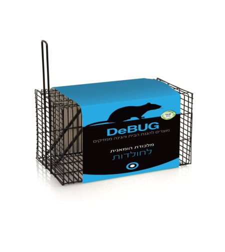 DEBUG | מכלודת רשת חולדות