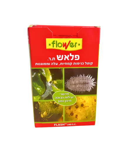 פלאש | קוטל כנימות | 10 סמ