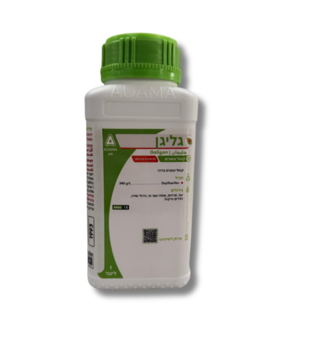 גליגן | קוטל עשבים ומונע נביטה | 1 ליטר