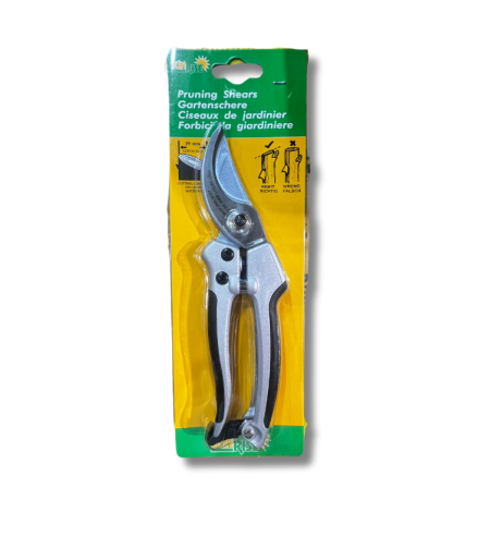 מזמרה מקצועית