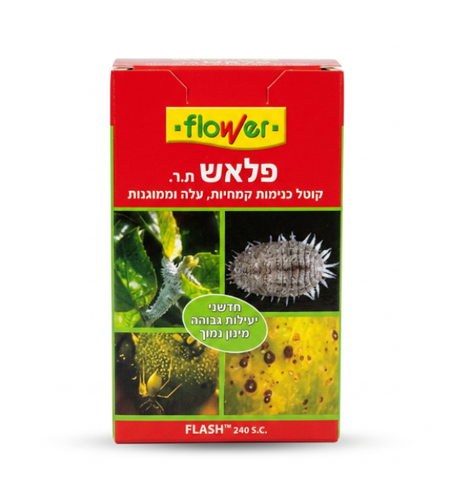 פלאש | קוטל כנימות 10 סמ