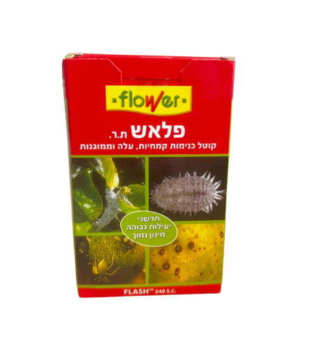 פלאש | קוטל כנימות | 10 סמ