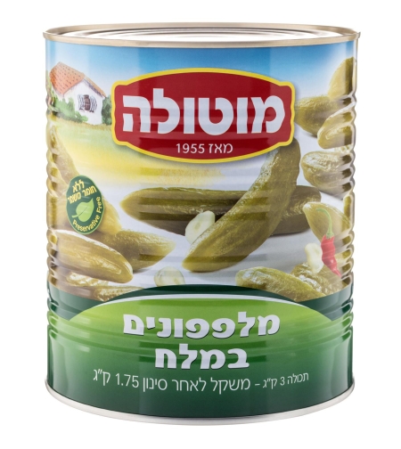 מוטולה מלפפון30-36 במלח3 ק