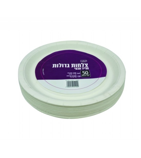 צלחות גדולות מנייר אורנים