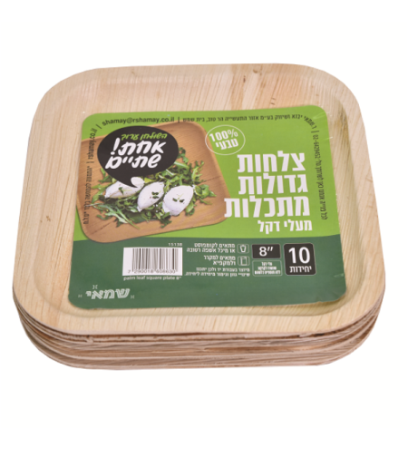 צלחות (M) מרובעות מתכלות מעלי דקל