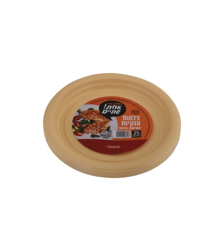 צלחות XL בצבעים שונים 25 יחידות