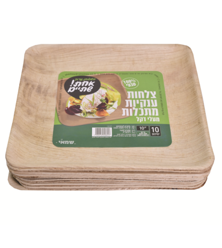 צלחות (L) מרובעות מתכלות מעלי דקל
