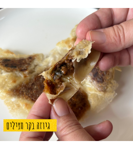 גיוזה בעבודת יד במילוי בקר וחצילים - 10 יחידות