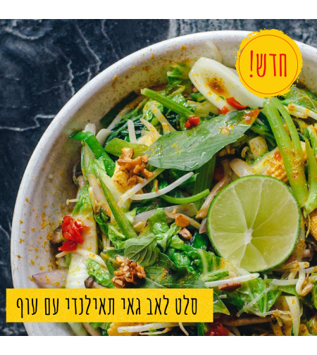 סלט לאב גאי תאילנדי עם עוף
