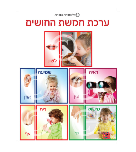 ערכת חושים